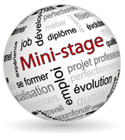 Modalités Mini-Stage 2025